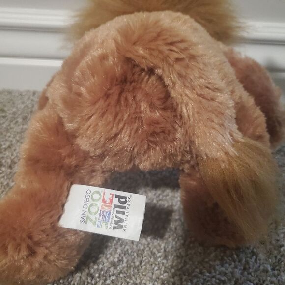 San Diego Zoo Aurora Lion Lance - Picture 3 of 3